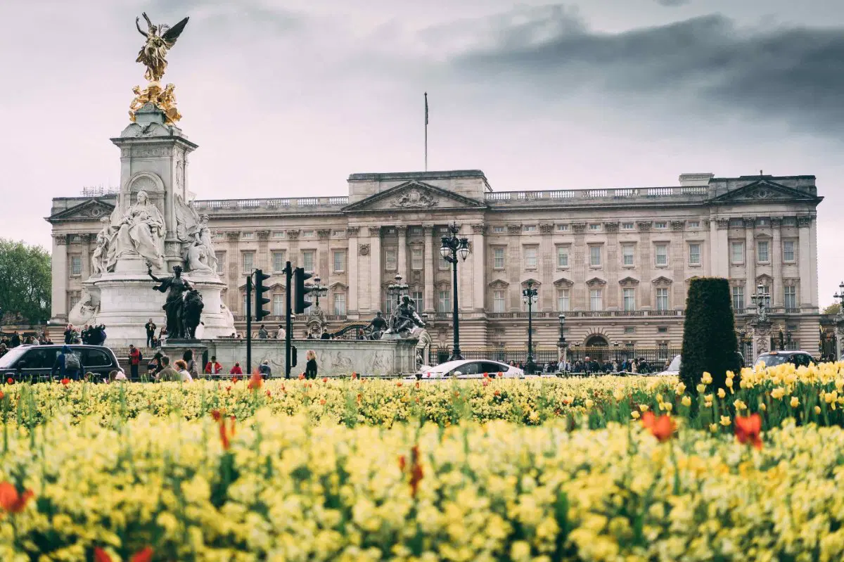 Luxury chauffeur sightseeing tour in London