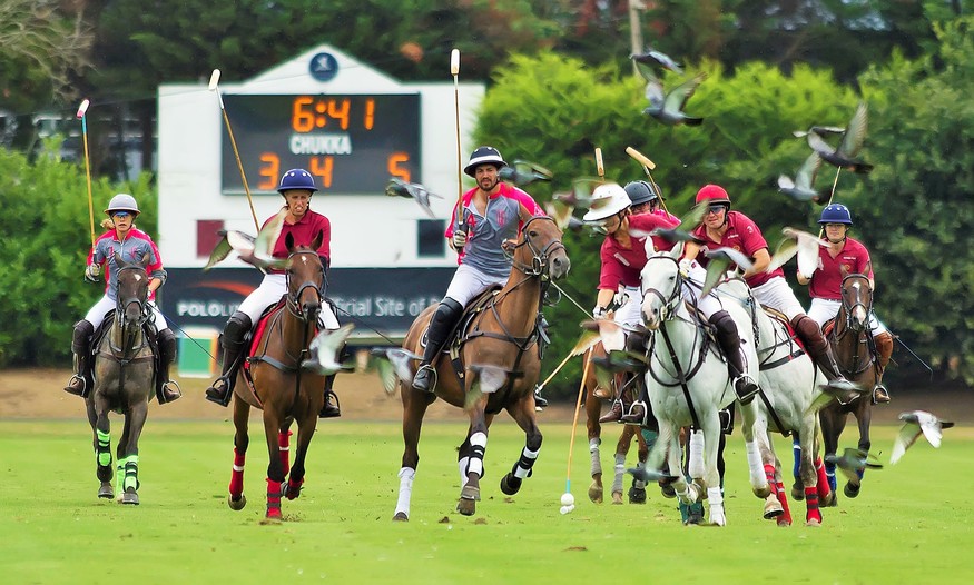 Luxury chauffeur service for Polo in the Park London