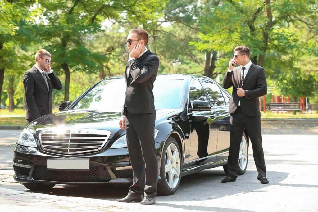 Chauffeur For Diplomats