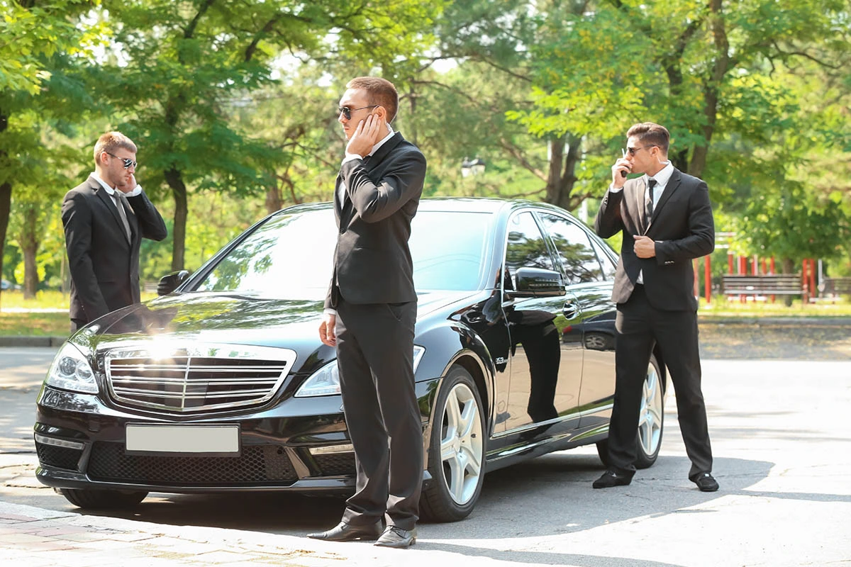 Chauffeur For Diplomats