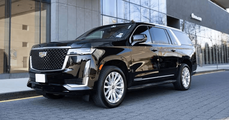 Diplomatic Chauffeur Service